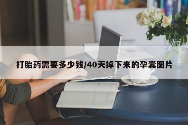 怀孕三个月用打胎药购买微信打胎药需要多少钱/40天掉下来的孕囊图片
