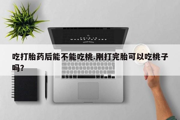 怀孕三个月用打胎药购买微信吃打胎药后能不能吃桃.刚打完胎可以吃桃子吗？